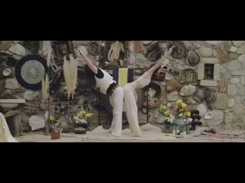 videos musicales - video de musica - musica Animals
