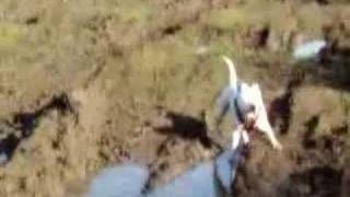 Ella Having Fun In Some Puddles