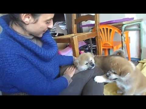 rencontre fusionnelle
