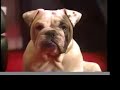 I Know I'm Not Alone DVD Trailer