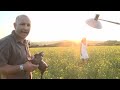 Sexy Fashion Shoot in a Field of Flowers! - Karl Taylor Photography