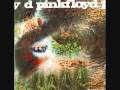 Pink Floyd - Jugband Blues