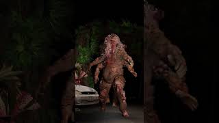 Shamblers And Bloater Difference