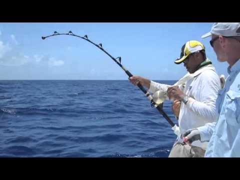 Deep  Fishing Tuna on Deep Sea Fad Fishing For Big Yellowfin Tuna In Antigua