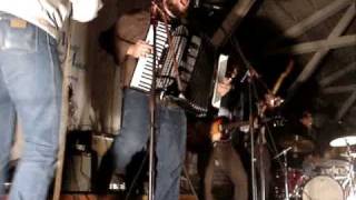 Watch Felice Brothers Memphis Flu video