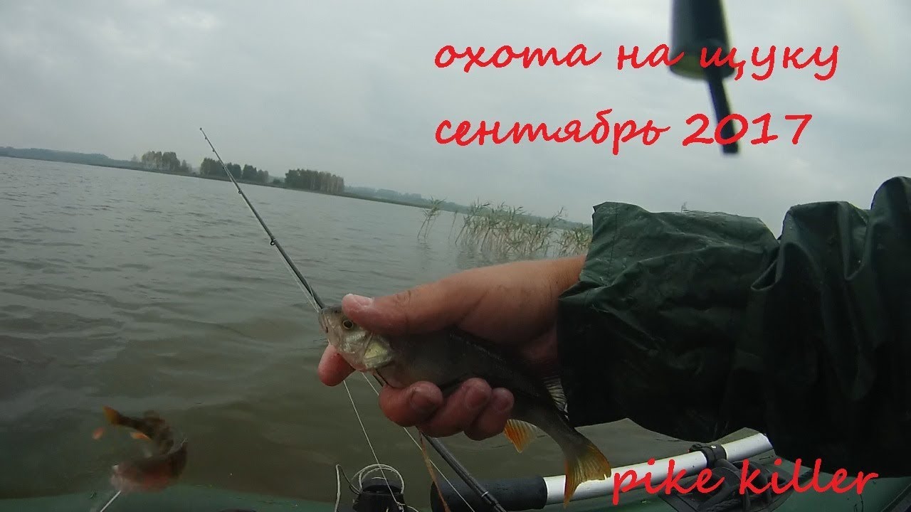 ловля щуки с лодки на вертушки ловля щуки с лодки на вертушки