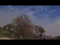 Helicopters and planes battle bushfire in South Australia