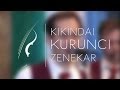 Kikindai Kurunci Zenekar - Öreg prímás, tégy hangfogót