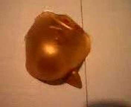 Itty Bitty Piggy. quot;ITTY BITTY PIGGYquot; OFF THE