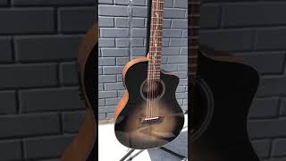 Premier Guitar First Look At First Glance Washburn Bts9Vcechd