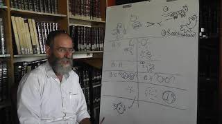2Minute Torah: Rabbi Estrin - Raisins and Celery - A Raise in the Salary