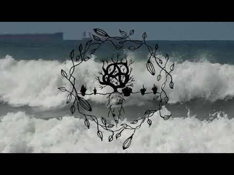 BODYBOARD - Imagens à venda