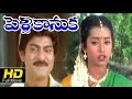 Pelli Kanuka (పెళ్లి కనుక) Full Length Movie 1998 | Jagapathi Babu, Bhanumati | Telugu Latest Movies