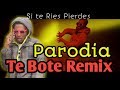 Te Bote Remix - Casper, Nio Garcia, Darell, Nicky Jam, Bad Bunny, Ozuna | PARODIA EtsDaniel