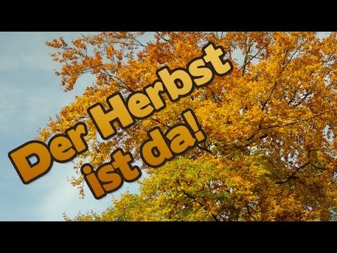Learn German - Episode 34: German Autumn/Fall Vocabulary - YouTube