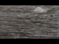 Budva Na Pjenu Od Mora Sezona 4 images Budva Na Pjenu Od Mora Sezona 4