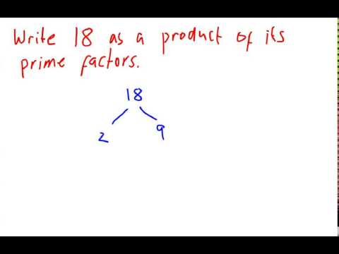Write 40 As A Product Of Prime Factors