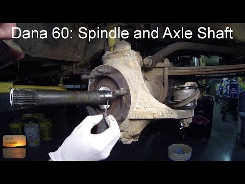 Dana 35 forex