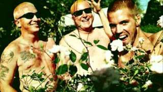 Watch Sublime I Dont Care Too Much For Reggae Dub video