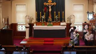 SSPXNZLIVE - Seventeenth Sunday after Pentecost Sung Mass - 27 September 2020