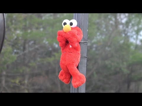 Disintegrate Video