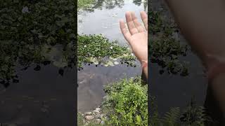 How To Throw A Stone Tutorial.