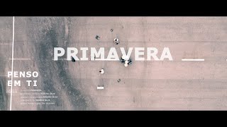 Primavera - Penso em Ti