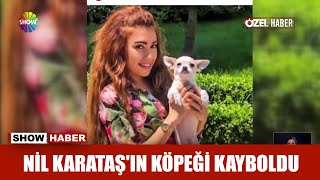 Nil Karataş'ın köpeği kayboldu