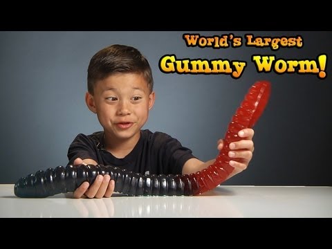 WORLD'S LARGEST GUMMY WORM vs. KID!