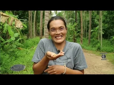 สาวร่อนทองบางสะพานดวงเฮง ได้ทองนพคุณหนัก 2 บาท มูลค่านับแสน