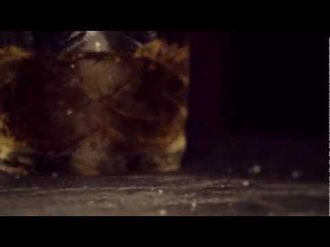 Mr Meening - Soul Minder Music Video