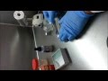 Microscopia de Hongos