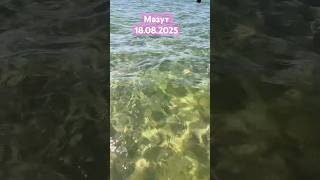 Анапа, Море 18.08.2025