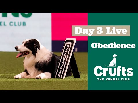 Obedience Day 3 LIVE | Bitch Obedience Championship | Crufts 2025