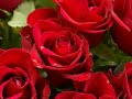 Mere Dil Mein Rehte Ho Full Song Hd Miss 420