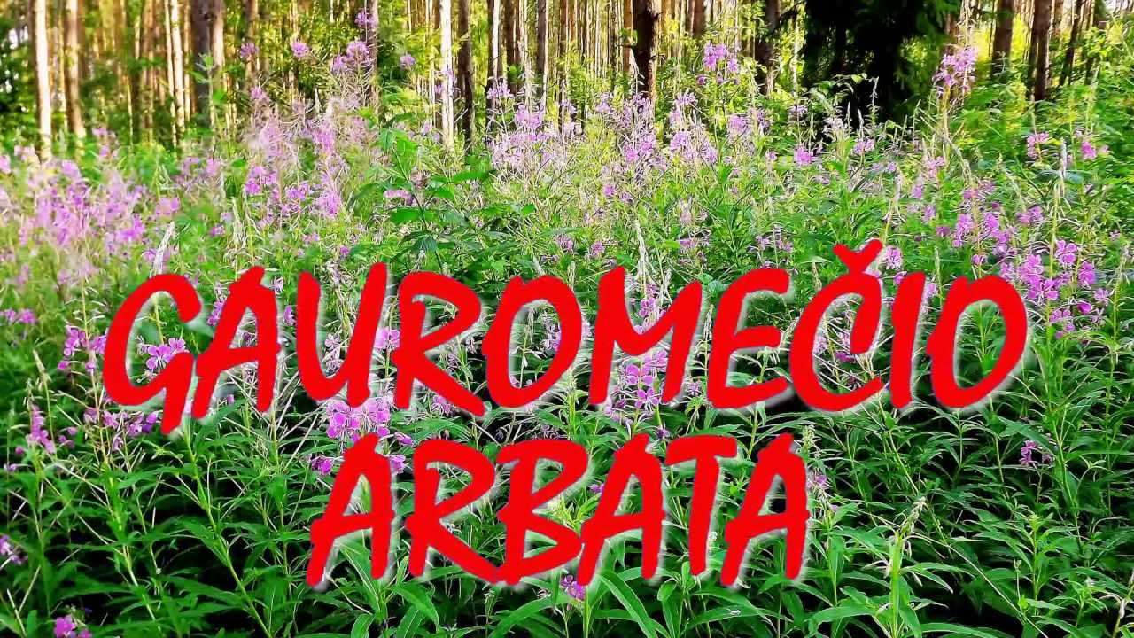 Как корректируется дальнозоркость у детей