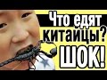 Что едят китайцы? ШОК!