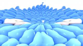 Changed Audio Samsung Logo Balls In Fake 4Ormulator V56