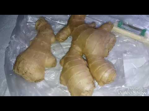 Маринуем сами Имбирь. Ingwer selbst marinieren . Маринуем сами Имбирь. Ingwer selbst marinieren .
