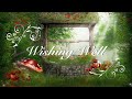 Beautiful Theme Music (Wishing Well)