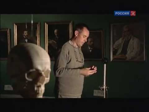 Эволюция. 02. Опасная идея Дарвина, 2 ч (sl) Эволюция. 02. Опасная идея Дарвина, 2 ч (sl)