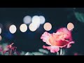 わかれうた/中島みゆき cover.(Vo.Kumi Sato Arr.Hiyoko Takai)