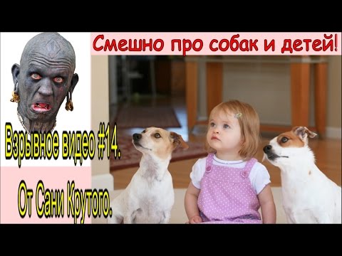 Статусы для детей про собак Статусы для детей про собак