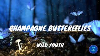 Watch Wild Youth Champagne Butterflies video