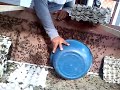 Proses Panen Jangkrik Budidaya Jangkrik Sukses images Proses Panen Jangkrik Budidaya Jangkrik Sukses