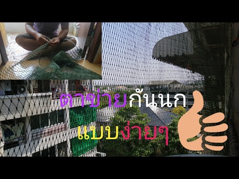 ติดตั้งตาข่ายกันนก