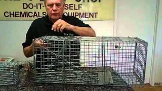 How To Trap Animals - Michael Bohdan - The Pest Shop - Plano TX