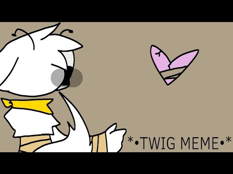 ×TWIG meme× (ft.new oc) ×TWIG meme× (ft.new oc)