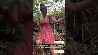 Parvathy Recent Reel Video