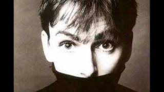 Watch Stephen Duffy Julie Christie video